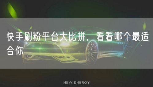 快手刷粉平台大比拼，看看哪个最适合你