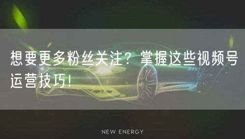 想要更多粉丝关注？掌握这些视频号运营技巧！