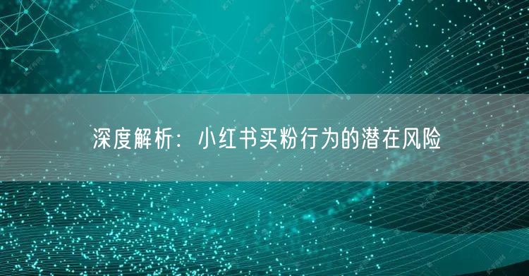 深度解析:小红书买粉行为的潜在风险