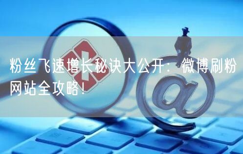 粉丝飞速增长秘诀大公开：微博刷粉网站全攻略！