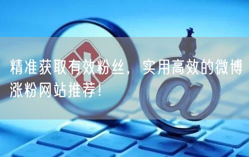 精准获取有效粉丝，实用高效的微博涨粉网站推荐！