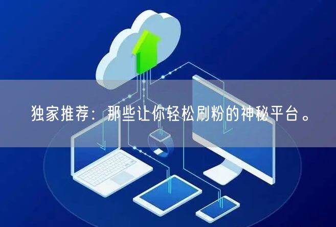 独家推荐：那些让你轻松刷粉的神秘平台。