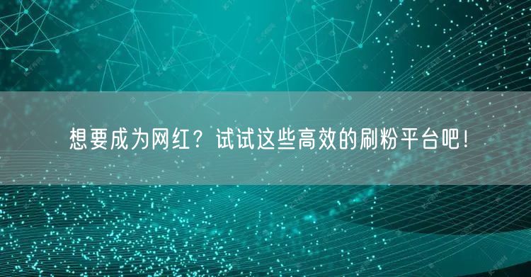 想要成为网红？试试这些高效的刷粉平台吧！