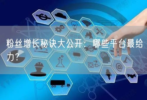 粉丝增长秘诀大公开：哪些平台最给力？