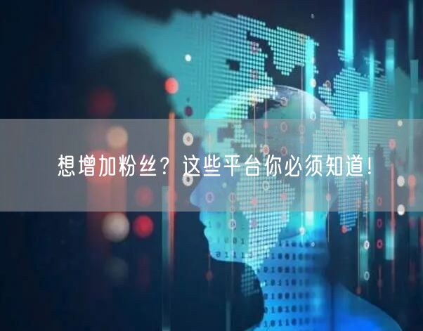 想增加粉丝？这些平台你必须知道！