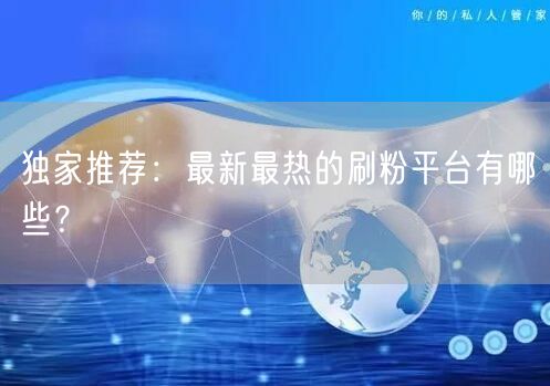 独家推荐：最新最热的刷粉平台有哪些？
