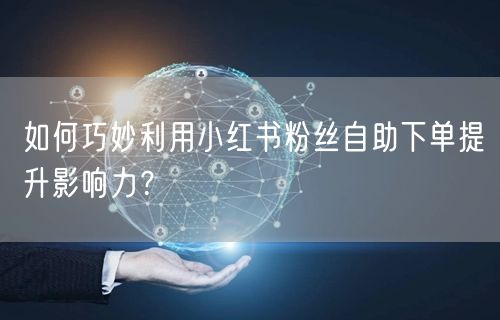 如何巧妙利用小红书粉丝自助下单提升影响力?