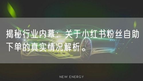 揭秘行业内幕:关于小红书粉丝自助下单的真实情况解析。
