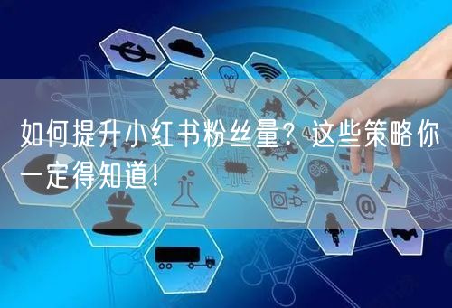 如何提升小红书粉丝量?这些策略你一定得知道!