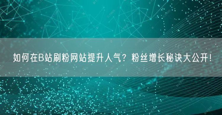 如何在B站刷粉网站提升人气？粉丝增长秘诀大公开！