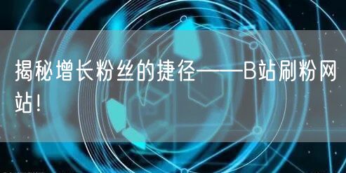 揭秘增长粉丝的捷径——B站刷粉网站！