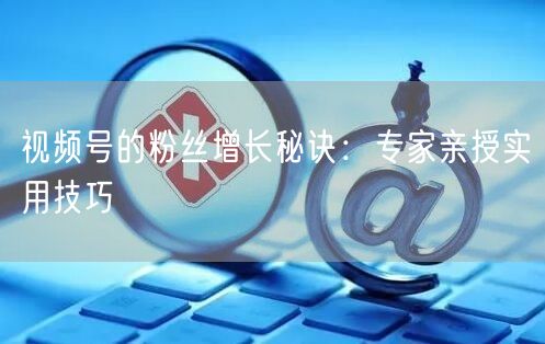 视频号的粉丝增长秘诀:专家亲授实用技巧