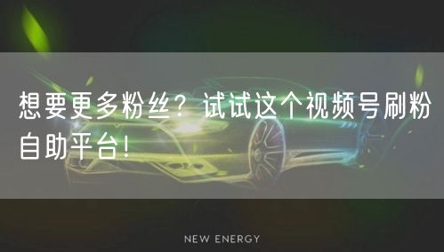 想要更多粉丝?试试这个视频号刷粉自助平台!