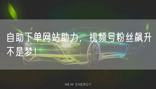 自助下单网站助力,视频号粉丝飙升不是梦!