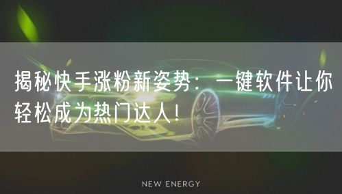 揭秘快手涨粉新姿势:一键软件让你轻松成为热门达人!