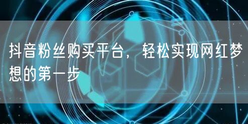 抖音粉丝购买平台,轻松实现网红梦想的第一步
