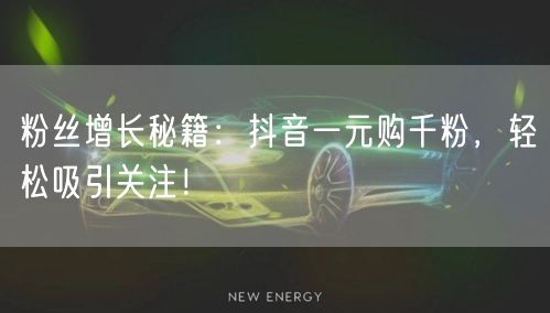 粉丝增长秘籍:抖音一元购千粉,轻松吸引关注!