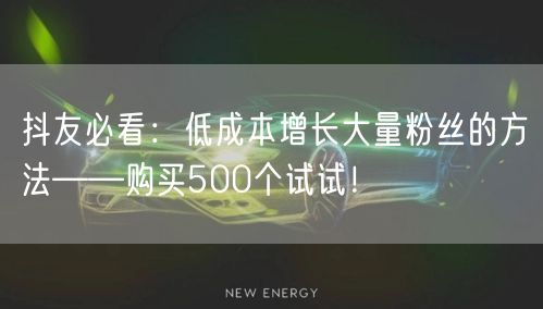 抖友必看:低成本增长大量粉丝的方法——购买500个试试!