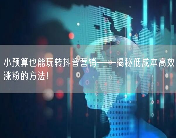 小预算也能玩转抖音营销——揭秘低成本高效涨粉的方法！