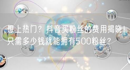 想上热门？抖音买粉丝的费用揭晓！只需多少钱就能拥有500粉丝？