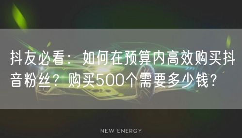抖友必看：如何在预算内高效购买抖音粉丝？购买500个需要多少钱？