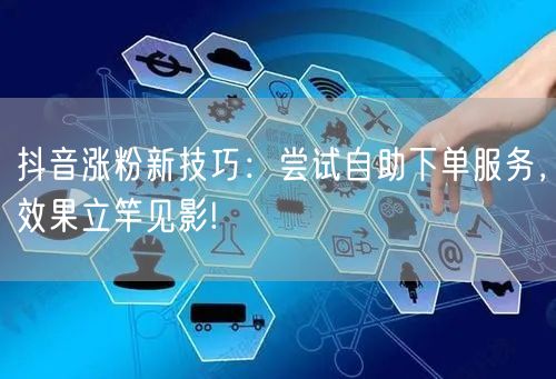 抖音涨粉新技巧:尝试自助下单服务,效果立竿见影!