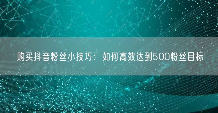 购买抖音粉丝小技巧:如何高效达到500粉丝目标