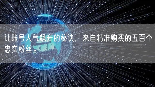 让账号人气飙升的秘诀,来自精准购买的五百个忠实粉丝。