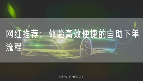 网红推荐:体验高效便捷的自助下单流程!