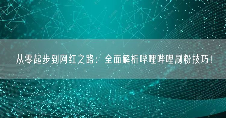 从零起步到网红之路：全面解析哔哩哔哩刷粉技巧！