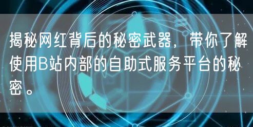揭秘网红背后的秘密武器，带你了解使用B站内部的自助式服务平台的秘密。