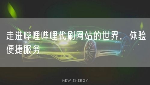 走进哔哩哔哩代刷网站的世界，体验便捷服务