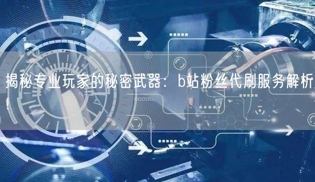 揭秘专业玩家的秘密武器：b站粉丝代刷服务解析！