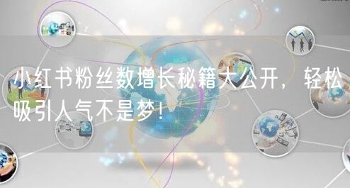 小红书粉丝数增长秘籍大公开，轻松吸引人气不是梦！