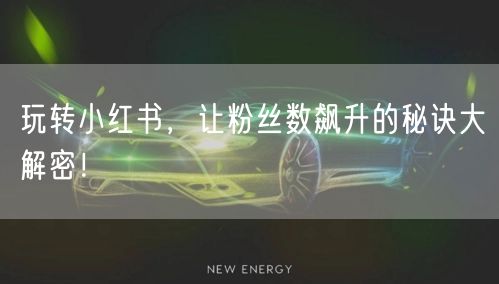 玩转小红书，让粉丝数飙升的秘诀大解密！