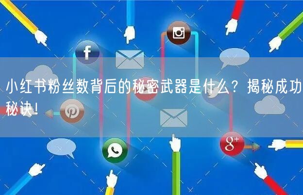 小红书粉丝数背后的秘密武器是什么?揭秘成功秘诀!