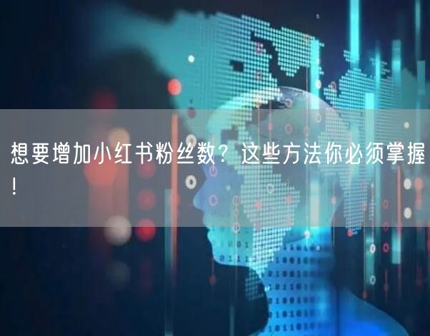 想要增加小红书粉丝数?这些方法你必须掌握!