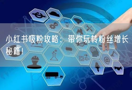 小红书吸粉攻略:带你玩转粉丝增长秘籍!