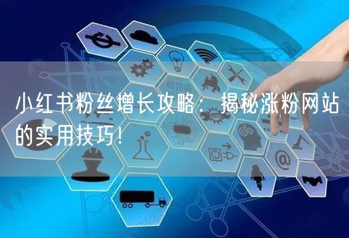 小红书粉丝增长攻略:揭秘涨粉网站的实用技巧!
