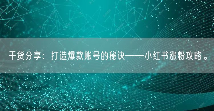 干货分享:打造爆款账号的秘诀——小红书涨粉攻略。