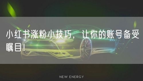 小红书涨粉小技巧,让你的账号备受瞩目!