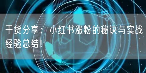 干货分享:小红书涨粉的秘诀与实战经验总结!