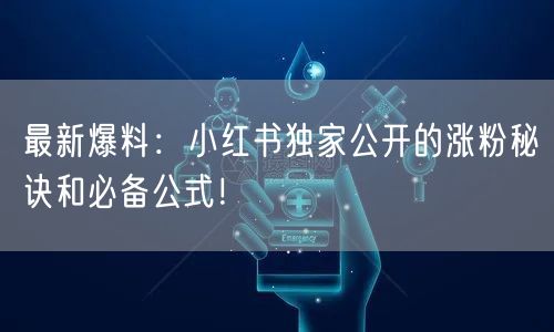 最新爆料:小红书独家公开的涨粉秘诀和必备公式!