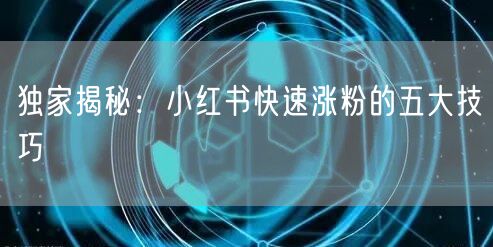 独家揭秘:小红书快速涨粉的五大技巧