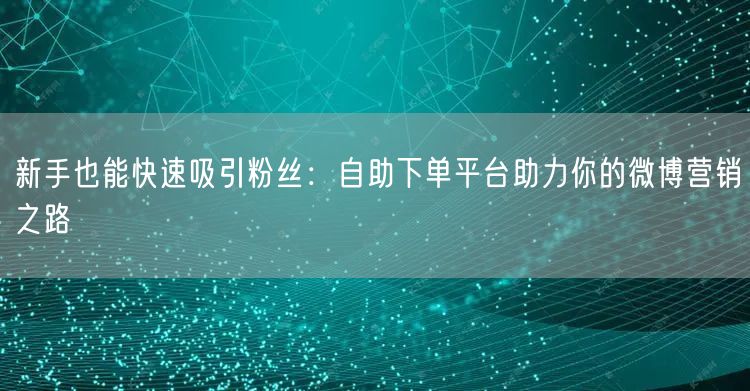 新手也能快速吸引粉丝：自助下单平台助力你的微博营销之路