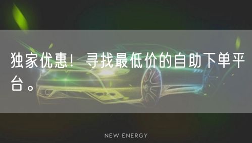 独家优惠!寻找最低价的自助下单平台。
