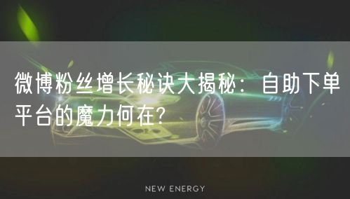 微博粉丝增长秘诀大揭秘:自助下单平台的魔力何在?