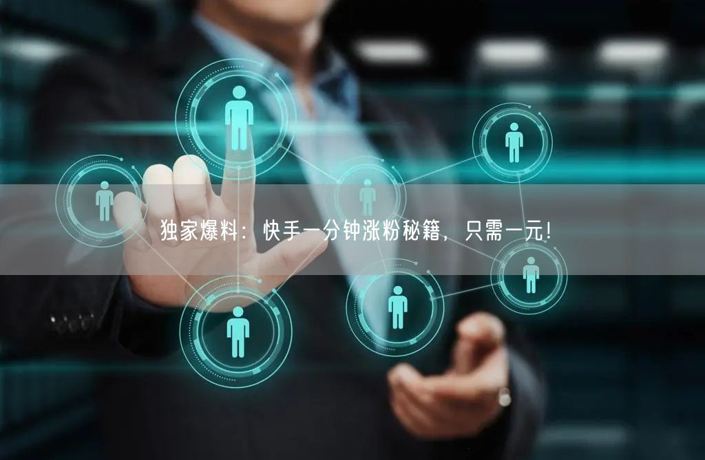 独家爆料：快手一分钟涨粉秘籍，只需一元！