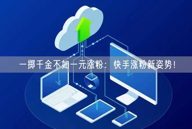 一掷千金不如一元涨粉：快手涨粉新姿势！