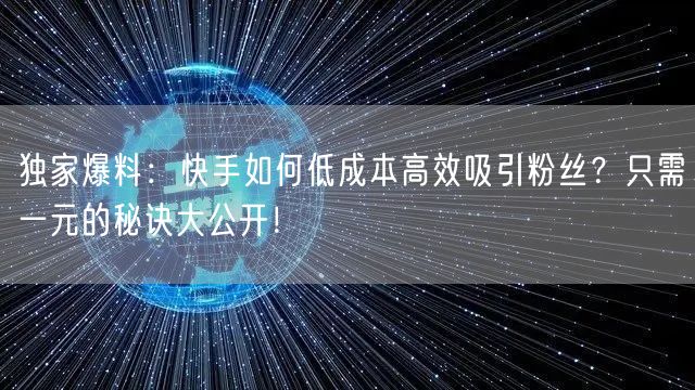独家爆料：快手如何低成本高效吸引粉丝？只需一元的秘诀大公开！